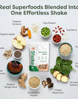 310 Nutrition All-In-One Meal Replacement Shake - Plant-Based Protein Powder with High Fiber, Probiotics, Digestive Enzymes & Superfoods - Vegan, Low Carb, Keto & Paleo Friendly - Gingerbread - 28 Servings