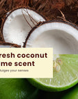 Hawaiian Tropic Lime Coolada After Sun Lotion | After Sun Care, Skin Care, Daily Moisturizing Lotion with Aloe, Cocoa Butter & Shea Butter, 16oz each Twin Pack