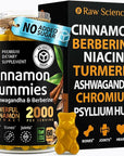 S RAW SCIENCE Sugar Free Berberine Gummies with Ceylon Cinnamon 2000mg - Blood Support - Ashwagandha, Turmeric, Chromium, Psyllium Husk Powder, Gymnema Sylvestre - 60 Fiber Gummies
