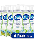 Dial Antibacterial Foaming Hand Wash, Fresh Pear, 7.5 fl oz Pack of 6)