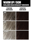 IGK Permanent Hair Dye Color Kit | 5GM Warm Up - Golden Mahogany Brown | 100% Gray Color Coverage + Strengthen + Shine | Ammonia Free