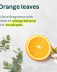 ATTITUDE Micellar Foaming Facial Cleanser, EWG Verified, Dermatologically Tested, Plant and Mineral-Based, Vegan, Orange Leaves, 5 Fl Oz