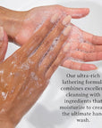 C.O. Bigelow Hand Wash Coconut, Village Perfumer Moisturizing Hand Soap for Bathroom & Kitchen with Aloe Vera and Pro-Vitamin B5, 10 fl oz