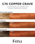 L'Oreal Paris Feria Multi-Faceted Shimmering