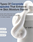 ANUA 3 Ceramide Panthenol Moisture Barrier Cream, Hydrating Face Moisturizer for Normal Skin, Panthenol, Ceramide, Centella for Skin Barrier Non Comedogenic, Korean Skincare (100ml/ 3.38 fl. oz.)