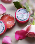 C.O. Bigelow All Purpose Salve Lip