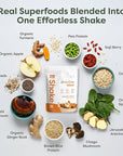 310 Nutrition - Vegan Organic Plant Powder and Meal Replacement Shake - Gluten, Dairy, and Soy Free - Keto and Paleo Friendly - 0 Grams of Sugar - Pumpkin Spice - 14 Servings