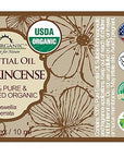US Organic 100% Pure Frankincense Essential Oil, USDA Certified Organic, Steam Distilled, Boswellia serrata, Sourced from India, Topically or in Diffuser, Perfect for Aging Skin, All skin type (10 ml)