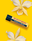 Burt's Bees You're the Balm Lip Balm Pack, With Beeswax, Wild Cherry, Watermelon and Vanilla Bean Flavors, With Responsibly Sourced Beeswax, Tint-Free, Natural Origin Lip Treatment, 4 Tubes, 0.15 oz.