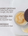 Burt’s Bees Conditioning Lip Scrub and
