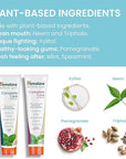 Himalaya Botanique Complete Care Toothpaste, Mint and Spearmint - Fluoride Free Toothpaste for Clean Teeth & Fresh Breath - Vegan, Gluten Free, No Artificial Flavors, 5.29 oz (Pack of 2)