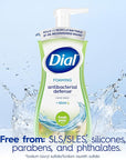 Dial Antibacterial Foaming Hand Wash, Fresh Pear, 7.5 fl oz Pack of 6)