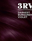 Clairol Nice'n Easy Permanent Hair Dye, 3RV Darkest Burgundy Violet Hair Color, Pack of 2