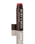 Burt's Bees 100% Natural Tinted Lip Balm, Rose with Shea Butter & Botanical Waxes – 2 Tubes