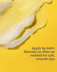 Burt's Bees Shea and Aloe Moisturizing Lip Balm, Lip Moisturizer With Responsibly Sourced Beeswax, Tint-Free, Natural Origin Conditioning Treatment, 4 Tubes, 0.15 oz.
