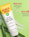 BURTS BEES SPF 30 Calming Day Face Lotion With Aloe and Rice Milk for Sensitive Skin, Sunscreen Face Lotion Soothes Redness and Irritation, 99.4 Percent Natural Origin Skin Care, 1.8 oz. Tube