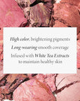LAURA GELLER NEW YORK Baked Blush-n-Brighten Marbleized Blush - Apricot Berry - Creamy Lightweight - Satin Finish