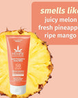 Hempz Daily Body Sunscreen SPF 50, Sweet Pineapple and Honeymelon, Reef Safe, Vegan, Dermatologist Tested, 6 oz (Pack of 2)