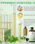 EVOKE OCCU Peppermint Oil 4 Fl Oz - for Spray Diffuser Aromatherapy Hair and Skin Care - Kitchen Garden Car - 100% Pure and Natural