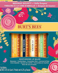 Burt's Bees Gifts, 4 Lip Balm Spring