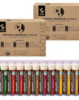 Earth's Daughter USDA Organic Lip Balm 12-Pack (2x 6-Packs) - Fruit Flavors, Beeswax, Coconut Oil, Vitamin E - Best Lip Repair Chapstick for Dry Cracked Lips - Moisturizing Lip Care