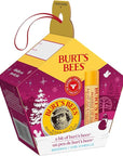 Burt's Bees Lip Balm and Hand