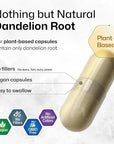 BIO KRAUTER Dandelion Root Capsules - 1800 mg Strength - 250 Count - Dandelion Root Supplement - Vegan Dandelion Powder Capsules for Digestion, Liver Support, Cleansing and Immunity