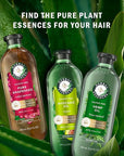 Herbal Essences Avocado Oil Sulfate Free Shampoo, Hair Repair, 13.5 Fl Oz, with Certified Camellia Oil and Aloe Vera, For All Hair Types, Especially Damaged Hair