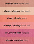 e.l.f Primer-Infused Blush, Long-Wear, Matte, Bold, Lightweight, Blends Easily, Contours Cheeks, Always Rosy, All-Day Wear, Vegan & Cruelty-Free