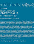 Andalou Naturals CLEAR SKIN Argan Stem Cell BB 2 Fl Oz