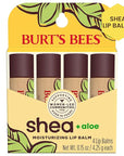 Burt's Bees Shea and Aloe Moisturizing Lip Balm, Lip Moisturizer With Responsibly Sourced Beeswax, Tint-Free, Natural Origin Conditioning Treatment, 4 Tubes, 0.15 oz.