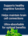 Life Extension Neuro-mag Magnesium L-threonate, Magtein, Magnesium Supplement, Brain Health, Memory & Attention, Gluten Free, Vegetarian, Non-GMO, 90 Vegetarian Capsules