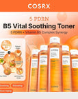 COSRX 5 PDRN B5 Vital Soothing Toner - Korean Toner for Rejuvenating & Soothing Skin with Salmon DNA, Centella, Lactobacillus PDRN & Panthenol, Korean Skin Care, Stocking Stuffers (280ml/9.46 fl.oz.)