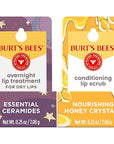 Burt’s Bees Conditioning Lip Scrub and