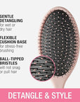 Conair Detangling Hair Brush 3PK - For wet and dry hair - curly hair brush - hair brushes for women - detangler brush - hair brushes for women - Evergreen, Blush Pink, Black Assorted