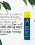 Oars + Alps Lip Suncreen, SPF 18 Lip Balm, Shine Free Sunscreen for Lips, Infused with Vitamin E, Peppermint & Spearmint, Water & Sweat Resistant, Moisturizing, Hydrating, Sunny Mint Scent, 3pk