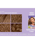 SoftSheen-Carson Dark and Lovely Fade Resist Rich Conditioning Hair Color, Permanent Hair Color, Up To 100 percent Gray Coverage, Brilliant Shine with Argan Oil and Vitamin E, Sun Kissed Brown