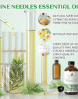 EVOKE OCCU Pine Essential Oil for Diffuser, Fresh Pine Scent for Aromatherapy, Skin, Hair Care, Soap & Candle Making - 4 Fl Oz