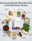 310 Nutrition All-In-One Meal Replacement Shake Powder - Plant-Based Protein Smoothie Blend w/High Fiber, Probiotics & Adaptogens - Low Carb, Vegan, Keto & Paleo Friendly - Mocha - 28 Srv