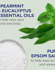Dr Teal's Foaming Bath with Pure Epsom Salt, Relax & Relief with Eucalyptus & Spearmint, 34 fl oz (Pack of 2)