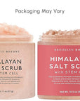 Brooklyn Botany Himalayan Salt & Stem Cell Body Scrub - Moisturizing and Exfoliating Body, Face, Hand, Foot Scrub - Fights Stretch Marks, Fine Lines, Wrinkles - Great Gifts for Women & Men - 10 oz