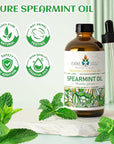 EVOKE OCCU Spearmint Oil for Inhibit Facial Hair Growth, Air Freshening, Added to Creams & Lotions - 4 Fl Oz