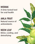 Banyan Botanicals Cinnamon Clove Tooth Powder – Ayurvedic Fluoride-Free Toothpaste Alternative with Miswak & Activated Charcoal from Amla – 0.75oz, 80+ Uses – Non GMO Sustainably Sourced Vegan