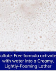 Natural Purifying Facial Cleanser | NonDrying