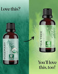 Certified Organic Rosemary Oil for Hair - Pure USDA Organic Rosemary Essential Oil for Hair Skin and Nails Plus Aromatherapy - Oil for Dry Scalp Treatment and Enhanced Volume and Shine