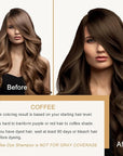 Coffee Hair Dye Shampoo, Hair Color Shampoo, Long Lasting Brown Hair Dye, Shampoo Para Pintar el Cabello, Brown Hair Shampoo, Easy to Use, Works in Minutes, 16.90 Fl Oz