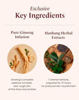 Sooryehan Bichaek True-Rejuvenating Skincare Set (206 ml/6.97 fl oz) - Radiant and Firm Skin, Skin Elasticity by LG Beauty. Korean Panax Ginseng, Korean Medicine Extracts
