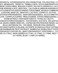 Covergirl Clean Fresh Yummy Plumper Lip Gloss, 880 Merry Kissmass, Shiny Gloss, Vegan Formula, Easy to Apply, Minty Flavor, 0.33oz