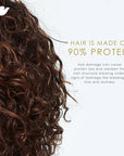 Dove Conditioner Argan Oil & Repair for Fine Hair with Bio-Protein Care Technology and Argan Oil Blend 12 Fl Oz