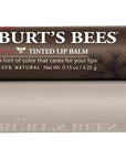 Burt's Bees 100% Natural Tinted Lip Balm, Rose with Shea Butter & Botanical Waxes – 2 Tubes